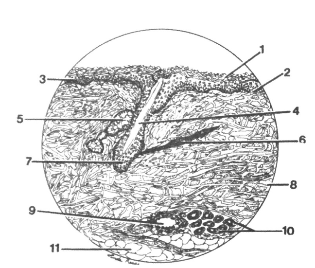 <p>What are…<br>1,2,3?</p>