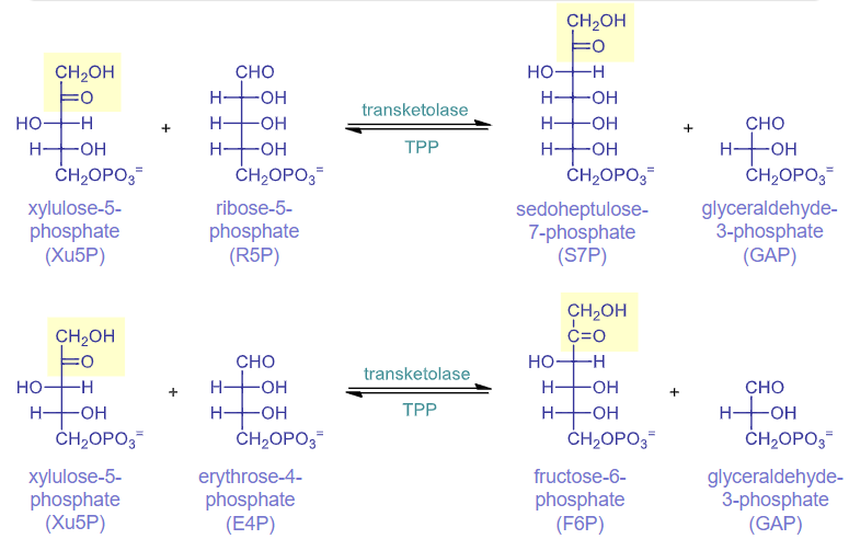 <p>catalyzed by transketolase</p><ul><li><p>needs TPP because it stabilizes the carbanion of the 2 carbon unit that gets transferred from once substrate to the other</p></li></ul>