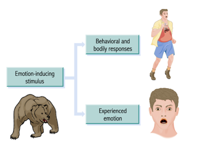 <p>What Theory is this?</p>