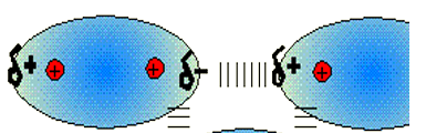 <ul><li><p>δ<sup>+</sup> and δ<sup>-</sup> end of two molecules are attracted to each other</p></li><li><p>only present in polar molecules</p></li></ul><p></p>