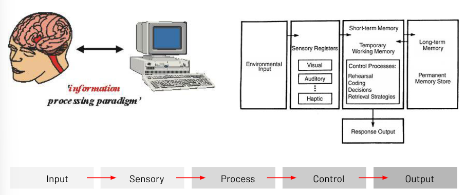 <p>The use of a computer as a tool for thinking how the human mind handles information.</p>