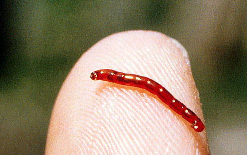 <img src="https://knowt-user-attachments.s3.amazonaws.com/381222b9-27bb-402f-92db-fe89fa99ce74.png" data-width="100%" data-align="center"><img src="https://knowt-user-attachments.s3.amazonaws.com/997941ca-ab1c-4c9c-9b46-fbfb163d4253.jpg" data-width="100%" data-align="center"><p></p>