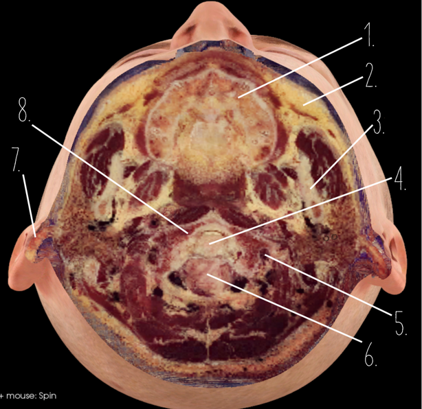 <p>2?</p>