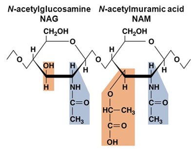 <p>Can you label, describe and explain what this diagram is/shows?</p>