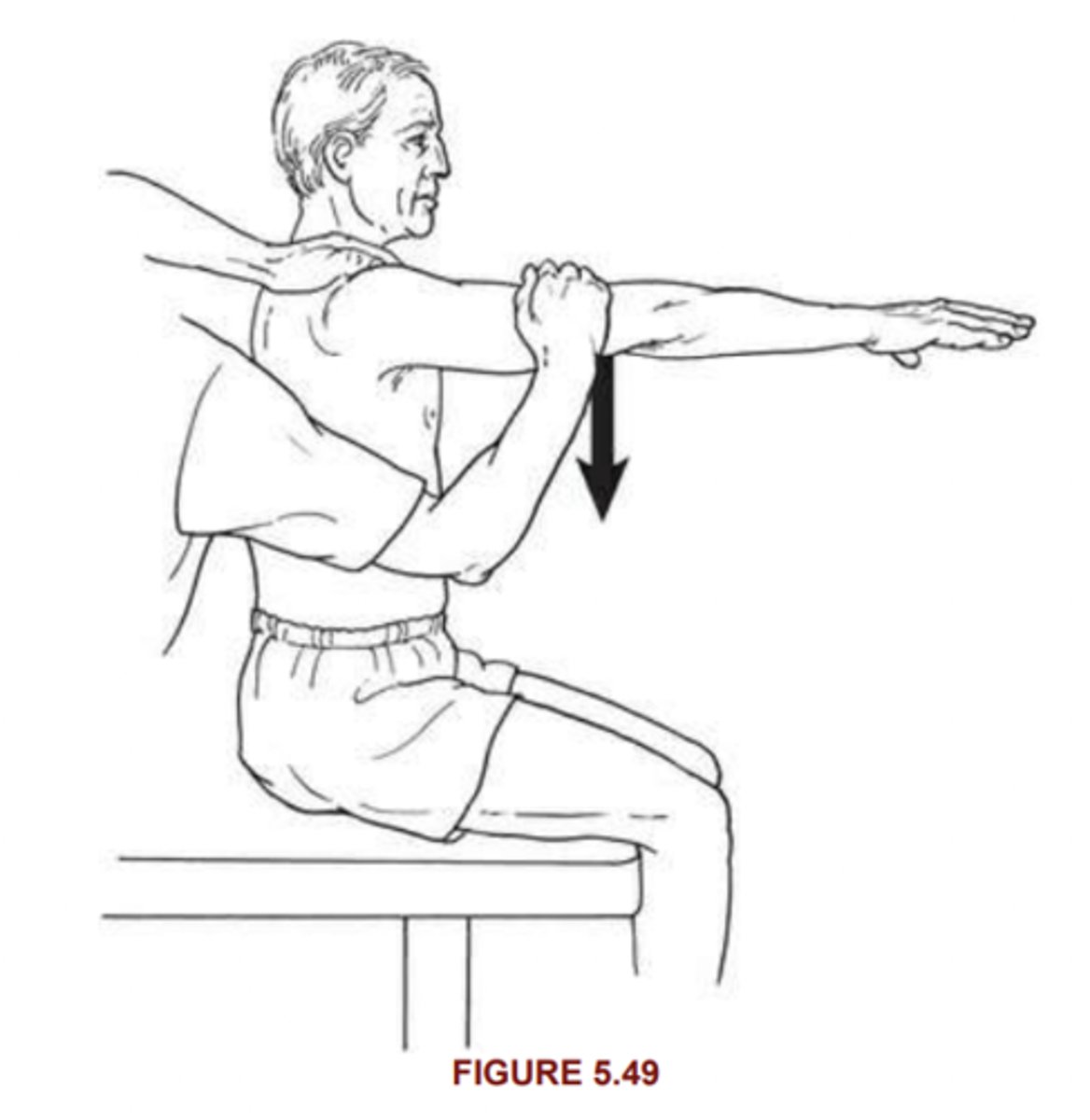 <p>anterior deltoid</p><p>Position: sitting arms at sides, foot supported, hand pronated</p><p>Instruction: start at test side, pt raise arm foward to shoulder height (90), keep elbow straight, apply resistance on distal humerus</p><p>2/5: gravity minimized</p><p>3/5: full 90 rom w/out resistance</p><p>4/5: hold against strong/moderate resistance</p><p>5/5: hold against max resis</p>