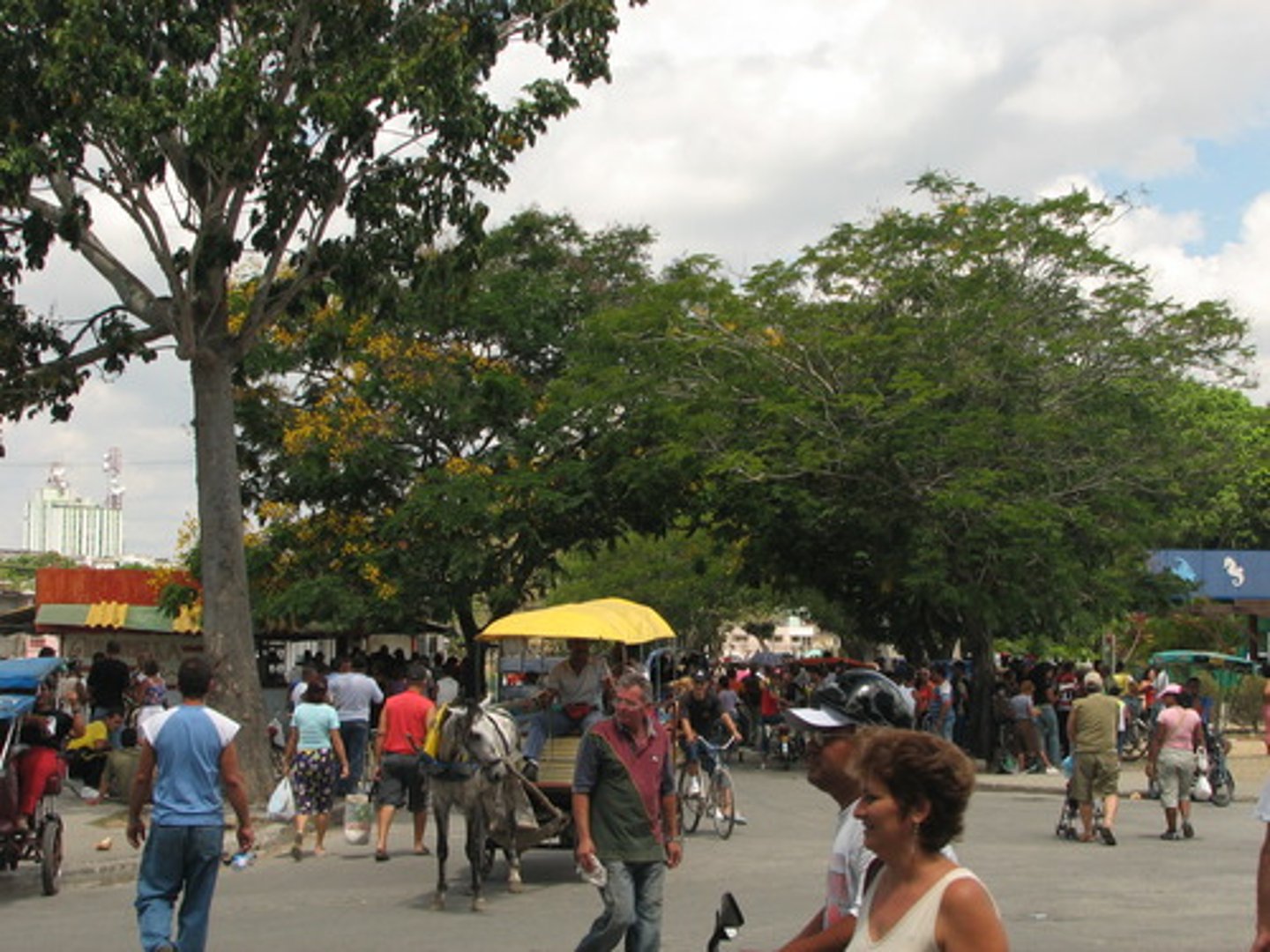 <p>el mercado al aire libre</p>