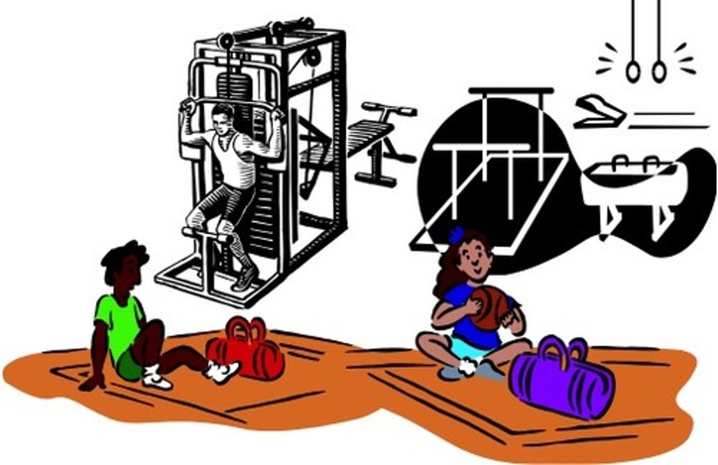 <p>the gym</p>
