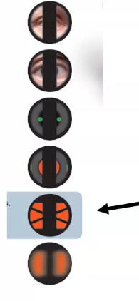 <p>what to look for in pulsair </p>