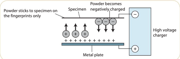<p>charged powder</p><p>The specimen to investigate is connected to the <strong><span style="color: red">negative terminal</span></strong> and the powder is connected to <strong><span style="color: red">positive terminal </span></strong>of a <em>high voltage</em></p>