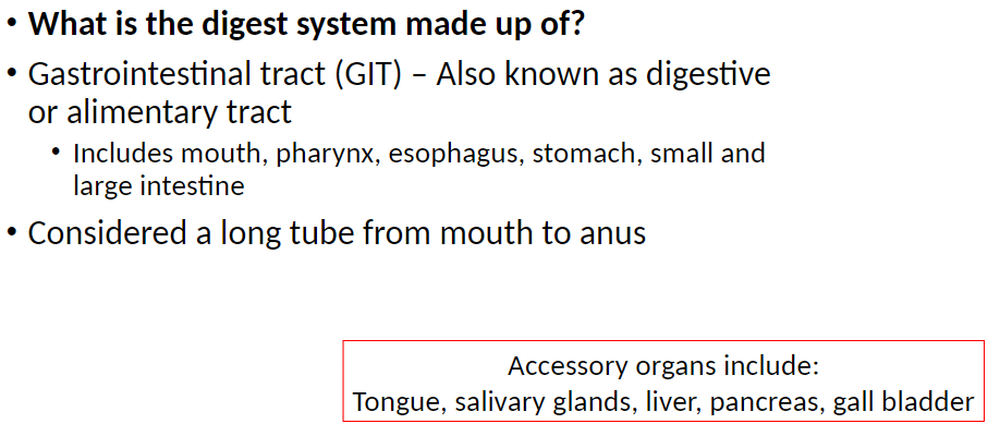 <p><strong>Gastrointestinal Tract (GIT)</strong>: Also known as digestive or alimentary tract<br> Includes mouth, pharynx, esophagus, stomach, small and large intestine<br> Considered a long tube from mouth to anus</p><p><strong>Accessory Organs</strong>: Include tongue, salivary glands, liver, pancreas, gall bladder</p>