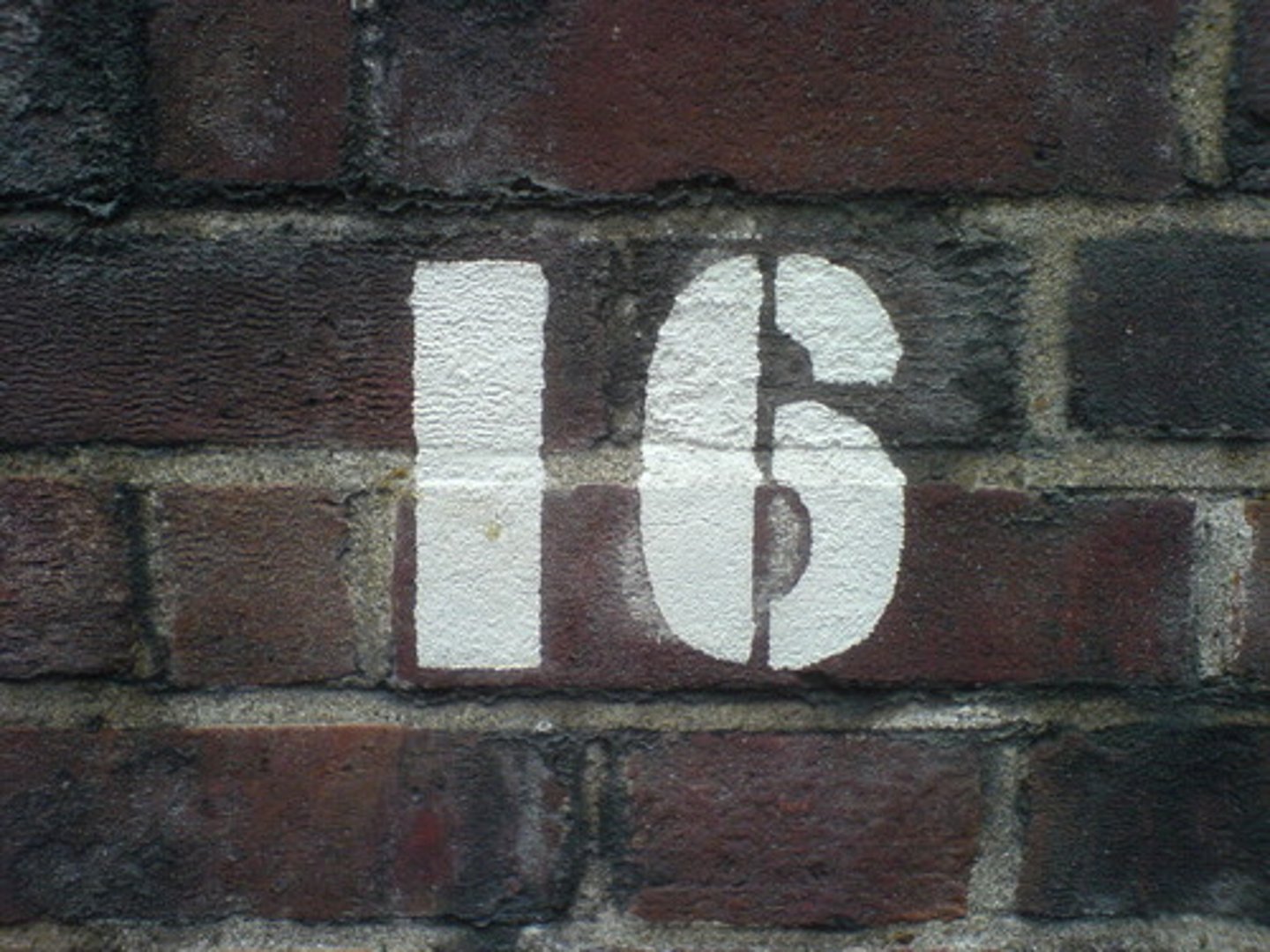 <p>sixteen</p>