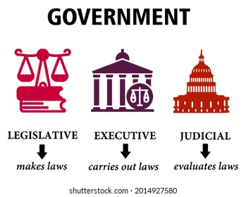 <p>The legislative branch of the government makes the laws</p>