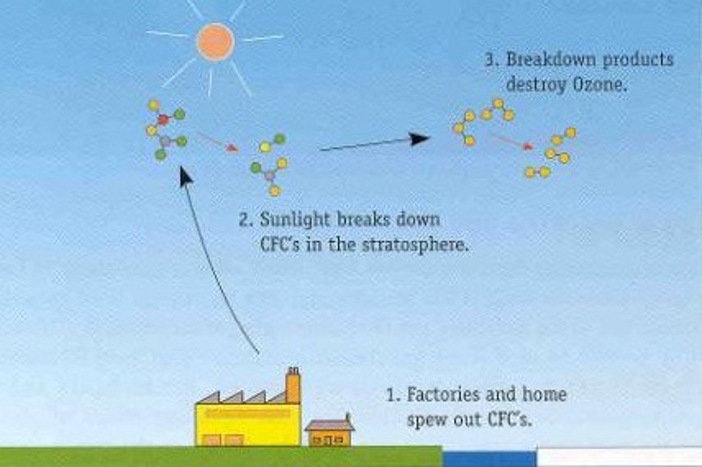 <p>Destroy the ozone layer.</p><p>Carbon-chlorine bond breaks into chlorine free radicals, which break down ozone.</p>