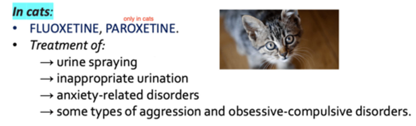 <p>fluoxetine</p><p>Paroxetine</p>