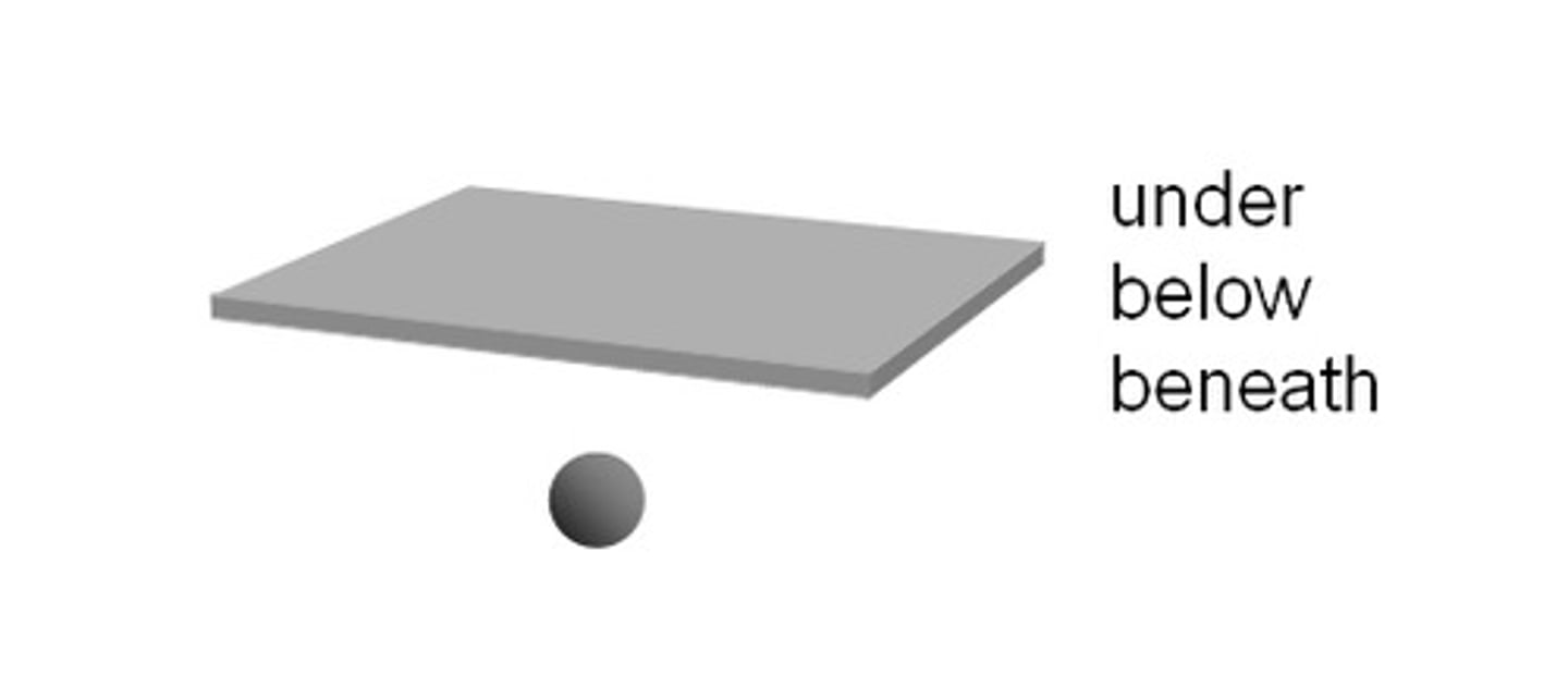 <p>under, below</p>