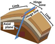 <p>Axial Plane</p><p>Lesson 2.2.1 <strong>Deformation &amp; Metamorphism</strong></p>