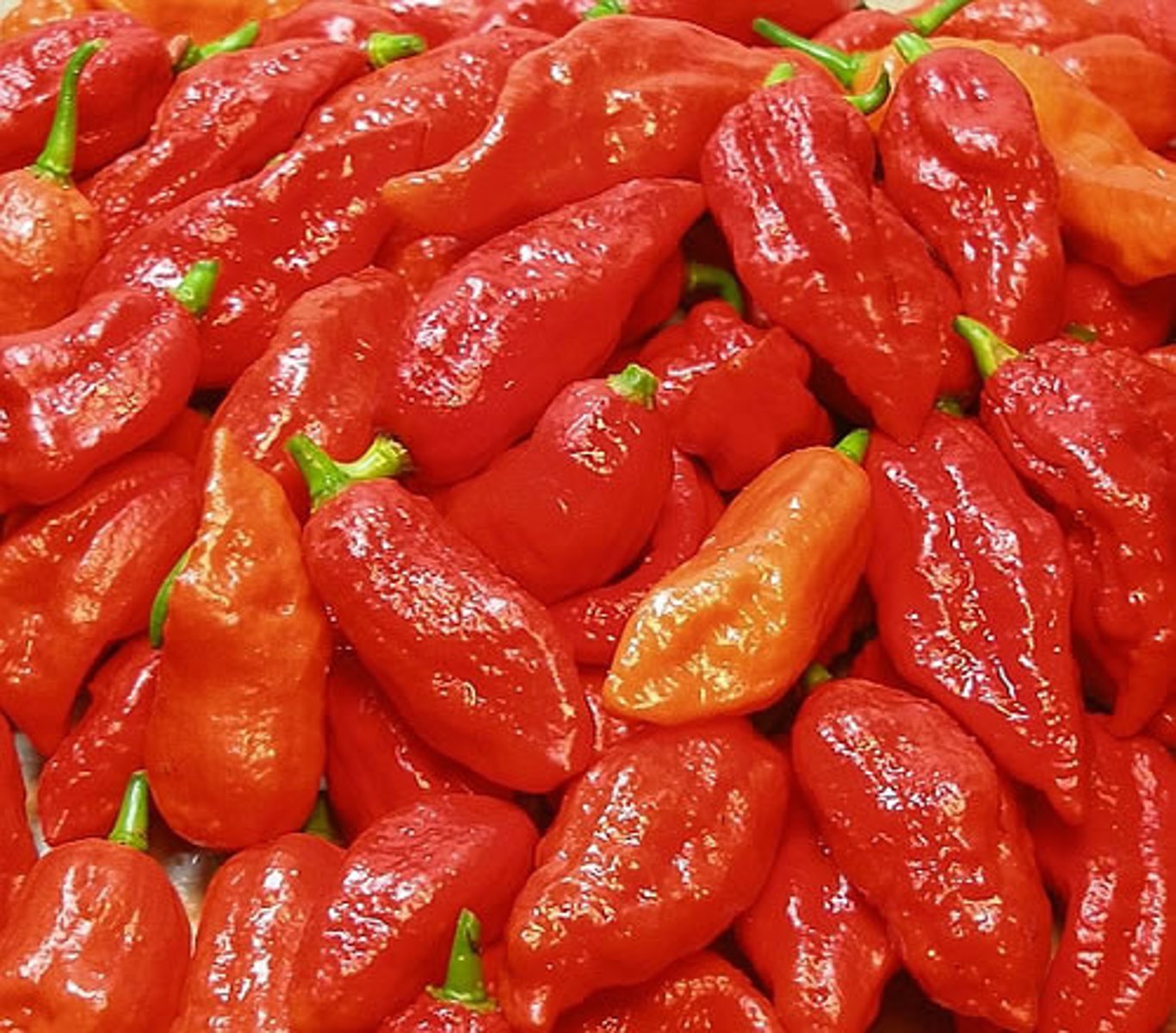 <p>spicy, いAdj.</p>