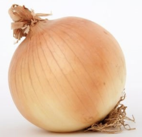 <p>onion</p>