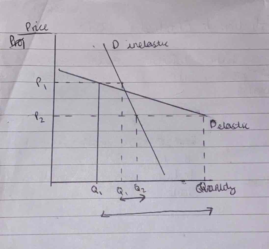 <p>Inelastic- steep, touches x-axis.</p><p>Elastic- shallower, touches y-axis.</p>