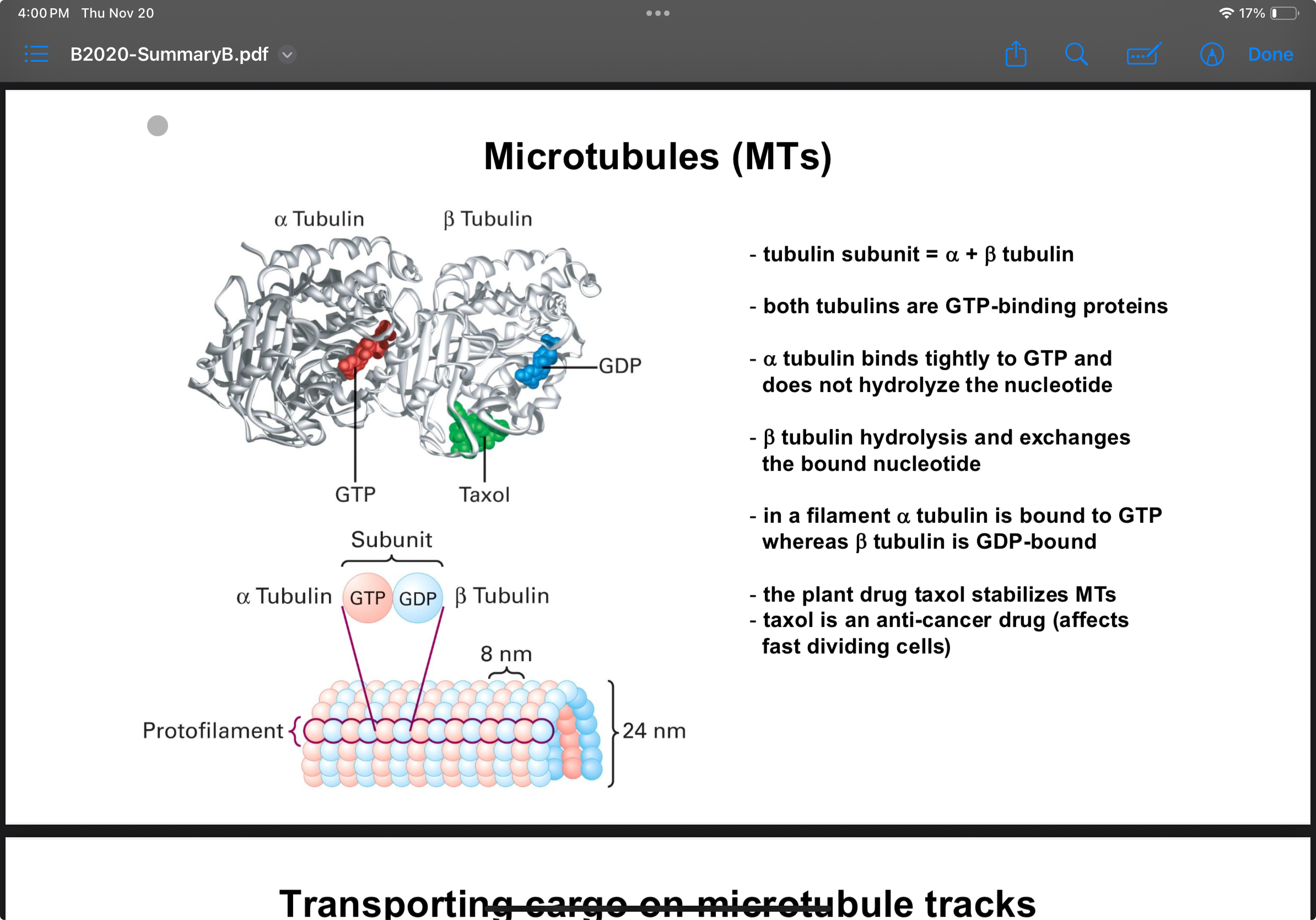 <p>Hollor tubles made out of Alpha nad Beta subunits that form tubulin subunits. These form protofilaments that make up the tube</p><p>24nm diameter</p>