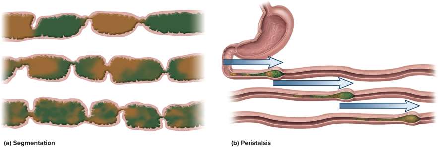 <p>Segmentation</p>