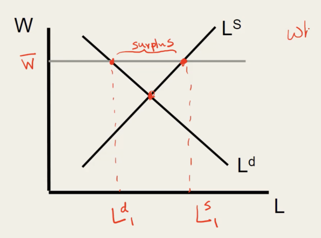 <p>binding (Wbar)</p><p>= Q Ls > Q Ld</p><p>= surplus L</p><p>= excess S</p><p>= unemp</p>
