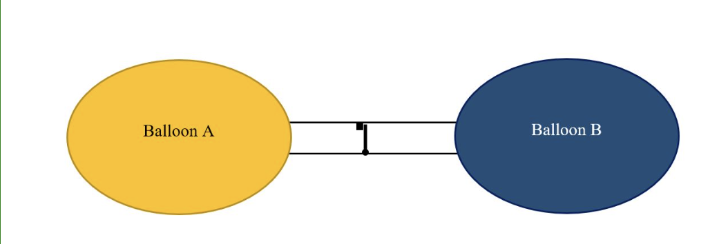 <p><em>The above illustration shows Balloon A (yellow) and Balloon B (blue), which are connected by a vessle that has a valve with a latch (black square).</em></p><p>What do you expect to happen if you only squeezed on Balloon A?&nbsp;</p>