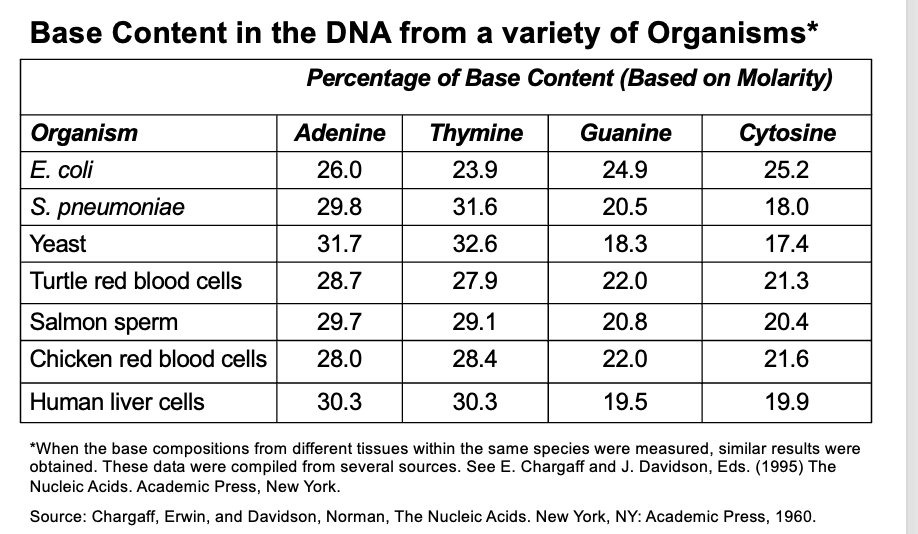 <ul><li><p>analyzed base composition of DNA isolated from many species</p><ul><li><p>% adenine = % thymine</p></li><li><p>% cytosine = % guanine</p></li></ul></li><li><p>was crucial for Watson and Crick to elucidate DNA structure</p></li></ul><p></p>