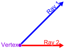 <p>the two rays forming an angle</p>