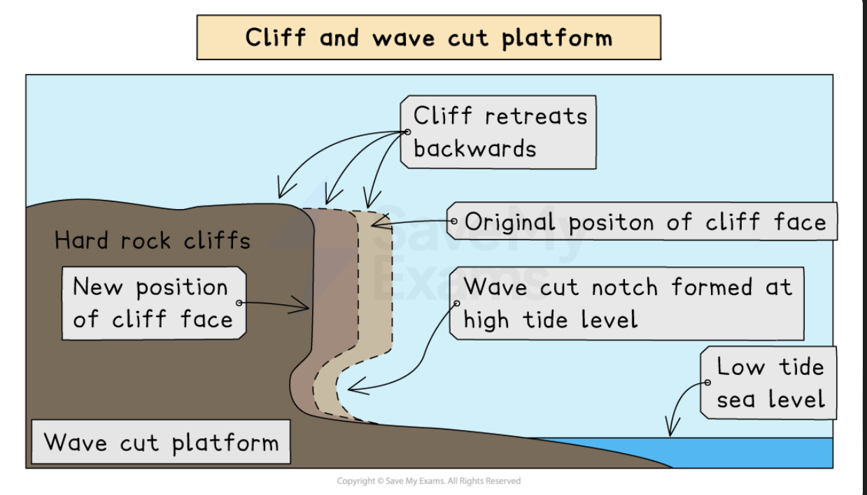 <ul><li><p>These are <strong>wide, gently sloped </strong>surfaces found at the <strong>foot of a cliff</strong></p><ul><li><p>The sea hits the base of a cliff between the high and low water mark, forming a <strong>wave-cut notch</strong></p></li><li><p><strong>Abrasion, corrosion, and hydraulic action </strong>push the notch deeper into the cliff</p></li><li><p>The cliff becomes<strong> </strong>unstable and collapses when it is<strong> undercut</strong></p></li><li><p>The waves wash away the eroded material, creating a <strong>wave-cut platform</strong></p></li><li><p>The process repeats, and <strong>coastal retreat </strong>occurs as the cliff keeps moving backwards</p></li><li><p></p></li></ul></li></ul><p></p>