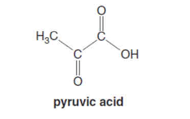 <p>Pyruvic acid, shown below, is an organic compound that has a smell similar to ethanoic acid. It is extremely soluble in water.</p><p>Explain why pyruvic acid is soluble in water.</p><p>Use a labelled diagram to support your answer. (2 marks)</p>