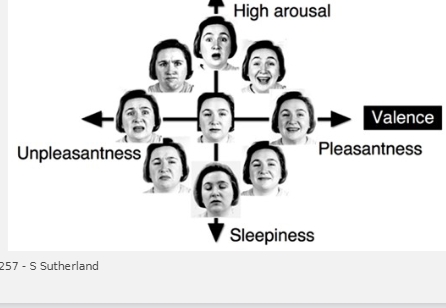 <p><span>Psychopathology is assessed using scales or dimensions (e.g., level of mood dysregulation, impulsivity)&nbsp;</span></p><ul><li><p><span>Recognizes that different disorders often share overlapping symptoms&nbsp;</span></p></li><li><p><span>Focuses on the unique combination of symptoms and their intensity for each person&nbsp;</span></p></li></ul><p>Pros: <span>Diagnostic reliability &amp; stability (problem) &nbsp;</span></p><ul><li><p><span>Clinicians may disagree about whether diagnosis is present&nbsp;</span></p><ul><li><p><span>Dimensional approach gives more leeway – can still describe someone’s symptoms without labelling&nbsp;</span></p></li></ul></li></ul><ul><li><p class="Paragraph SCXW221539778 BCX8" style="text-align: left"><span>Eliminating boundary disputes (DBT being used for many different issues)</span></p></li></ul><p class="Paragraph SCXW221539778 BCX8" style="text-align: left">Cons: </p><p class="Paragraph SCXW221539778 BCX8" style="text-align: left"><span>Still requires cut-off points? - A problem for insurance uses and understandings&nbsp;&nbsp;</span></p><ul><li><p class="Paragraph SCXW94970977 BCX8" style="text-align: left"><span>Still necessary for us to know the point at which someone needs help&nbsp;</span></p></li></ul><p class="Paragraph SCXW94970977 BCX8" style="text-align: left"><span>Lack of agreement on dimensions&nbsp;</span></p><p></p>