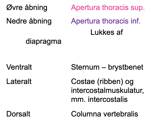 <p>Apertura thoracis superior <br>Apertura thoracis inferior - Lukkes af diapragma</p>