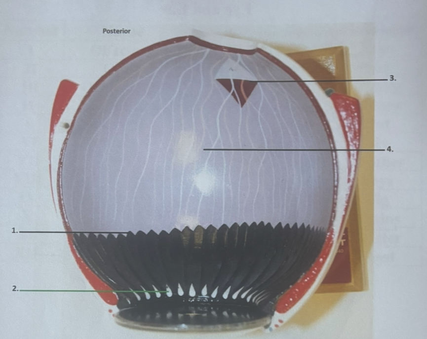 <p>2</p>
