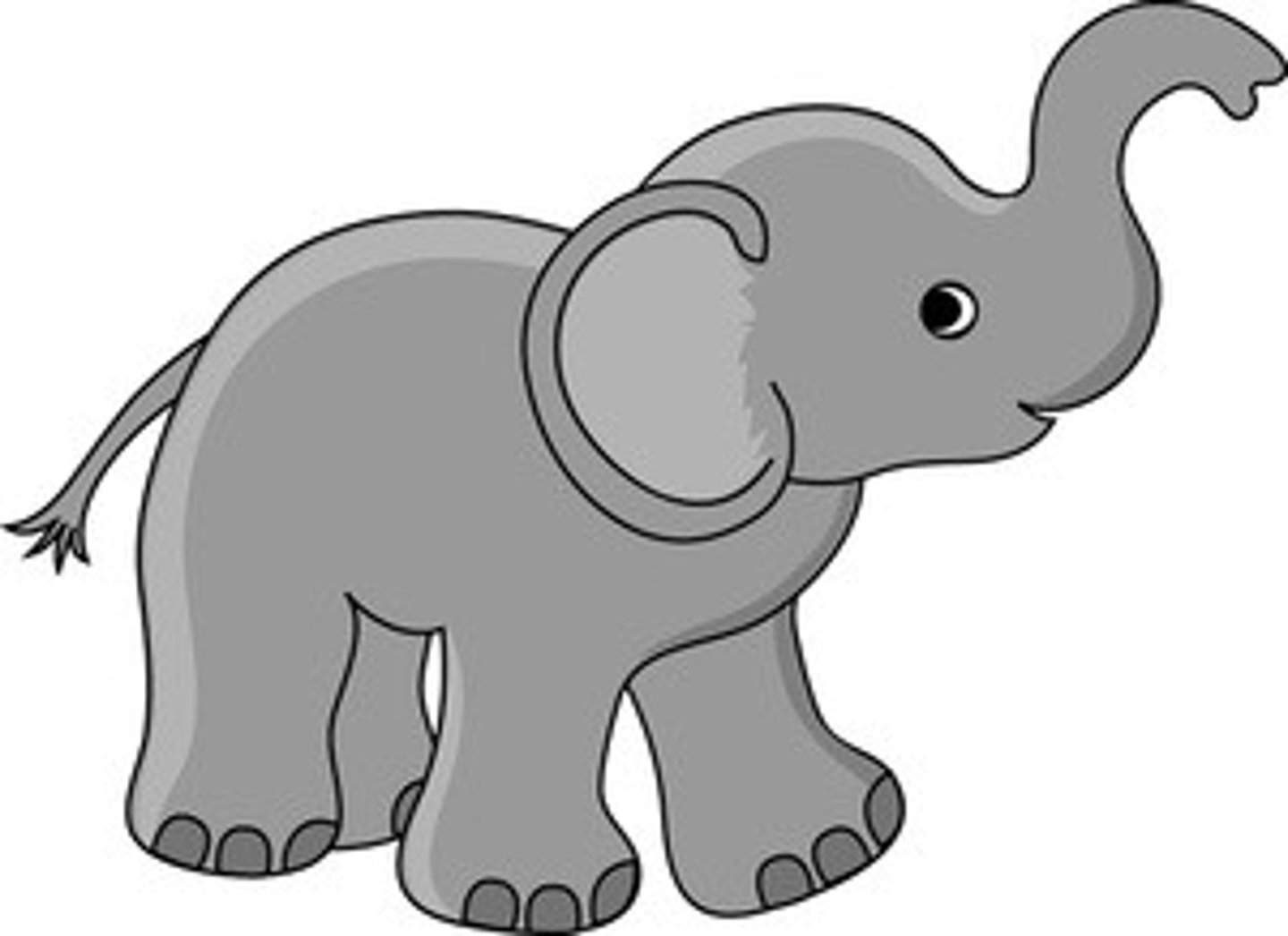 <p>-lots of grays</p><p>-high KVp</p><p>-low contrast</p><p>-"Gray big elephant"</p>