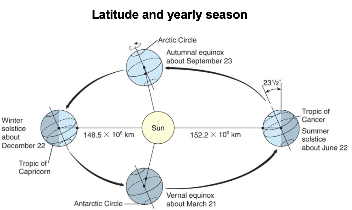 <p>summer solstice</p>