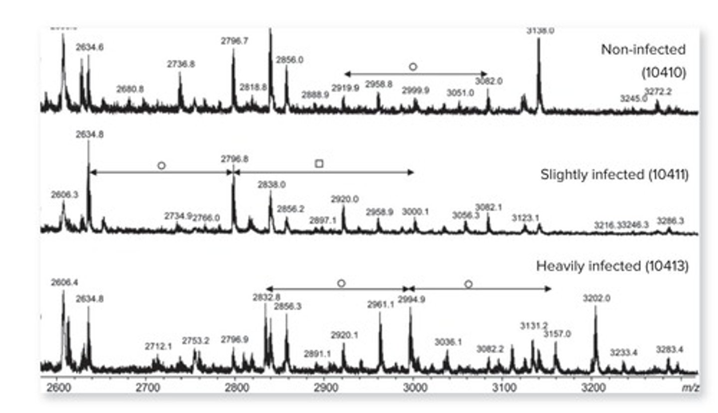 <p>They do not always require culturing microorganisms and can provide rapid, precise results.</p>
