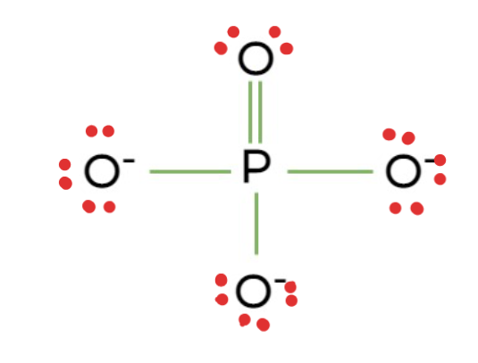 <p>Structural Formula: a phosphorus atom bonded to four oxygen atoms (−PO4). </p><p>Properties: Highly polar and negatively charged, affecting molecular interactions. </p><p>Examples: nucleic acids (DNA and RNA), ATP (adenosine triphosphate),  phospholipids</p>