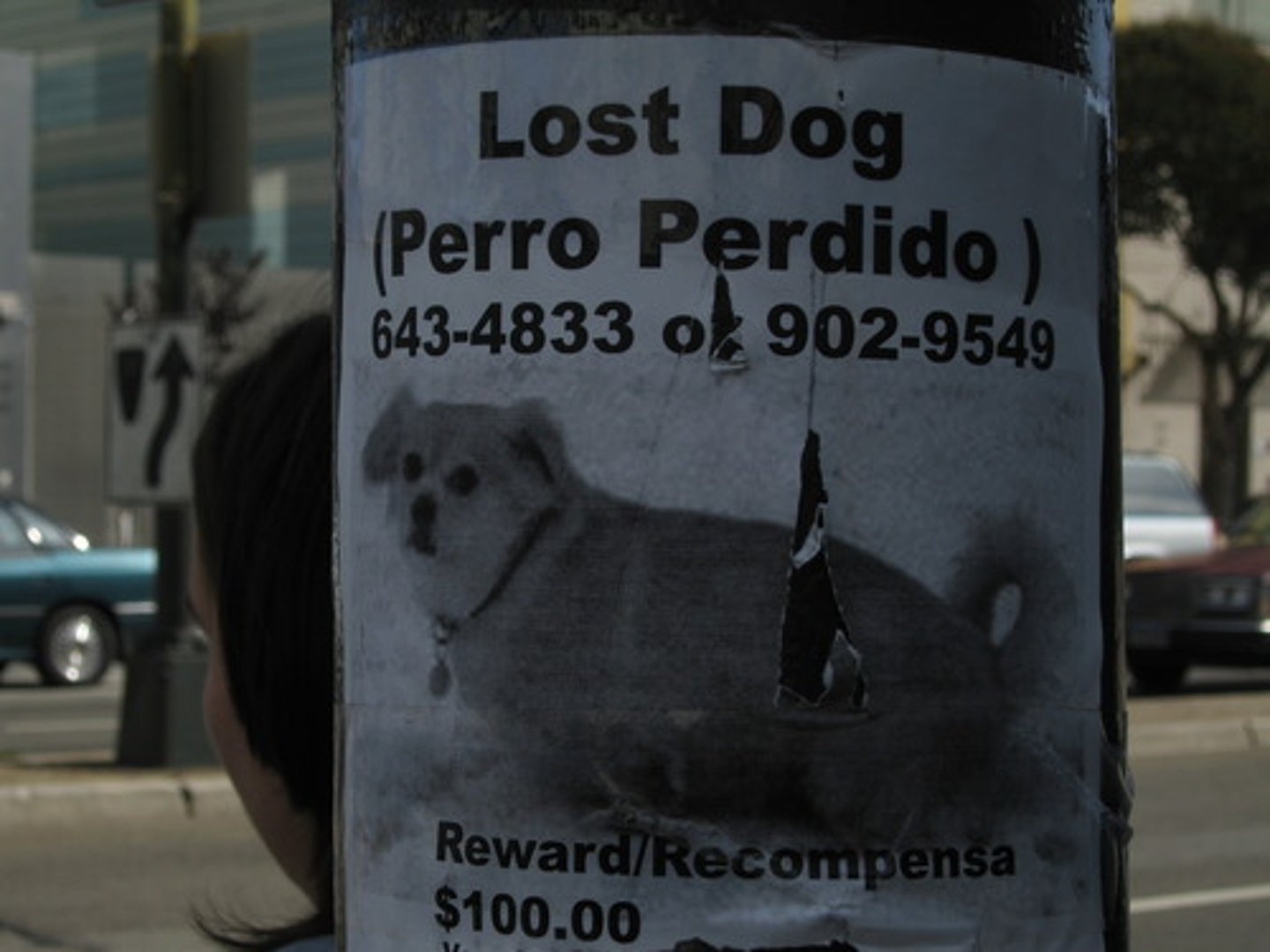 <p>to lose</p>