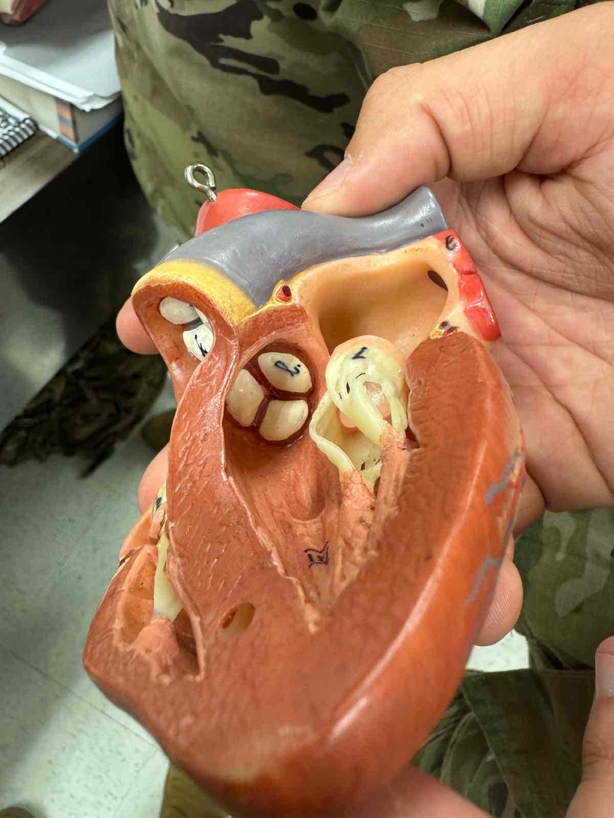 <p>57 L</p>