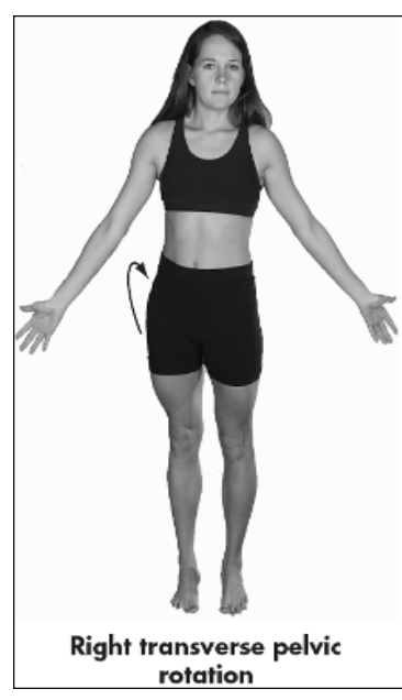 <p>in horizontal plane pelvis rotates to body’s right, left iliac crest moves anteriorly in relation to right iliac crest, which moves posteriorly</p><p>clockwise</p>