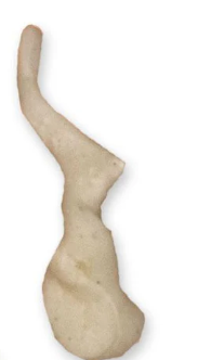 <p>another small bone located in the middle ear, transfers signals from malleus to stapes </p>