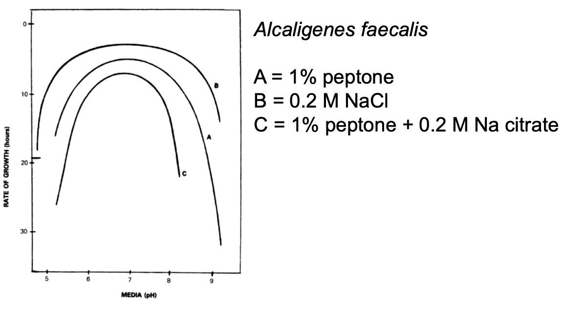 <ul><li><p><strong><em>Alcaligenes faecalis</em></strong> when grown in </p><ul><li><p>A = 1% peptone (moderate pH range)</p></li><li><p><u>B = 0.2 M NaCl</u> (wider pH range)</p></li><li><p>C = 1% peptone + 0.2 M Na citrate (narrower pH range)</p></li></ul></li><li><p><strong>LAB</strong> is <u>more acid tolerant in HCl</u> than in acetic acid</p></li></ul><p></p>