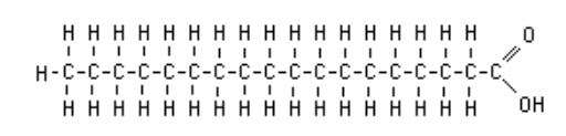 <p>Fatty acid</p>