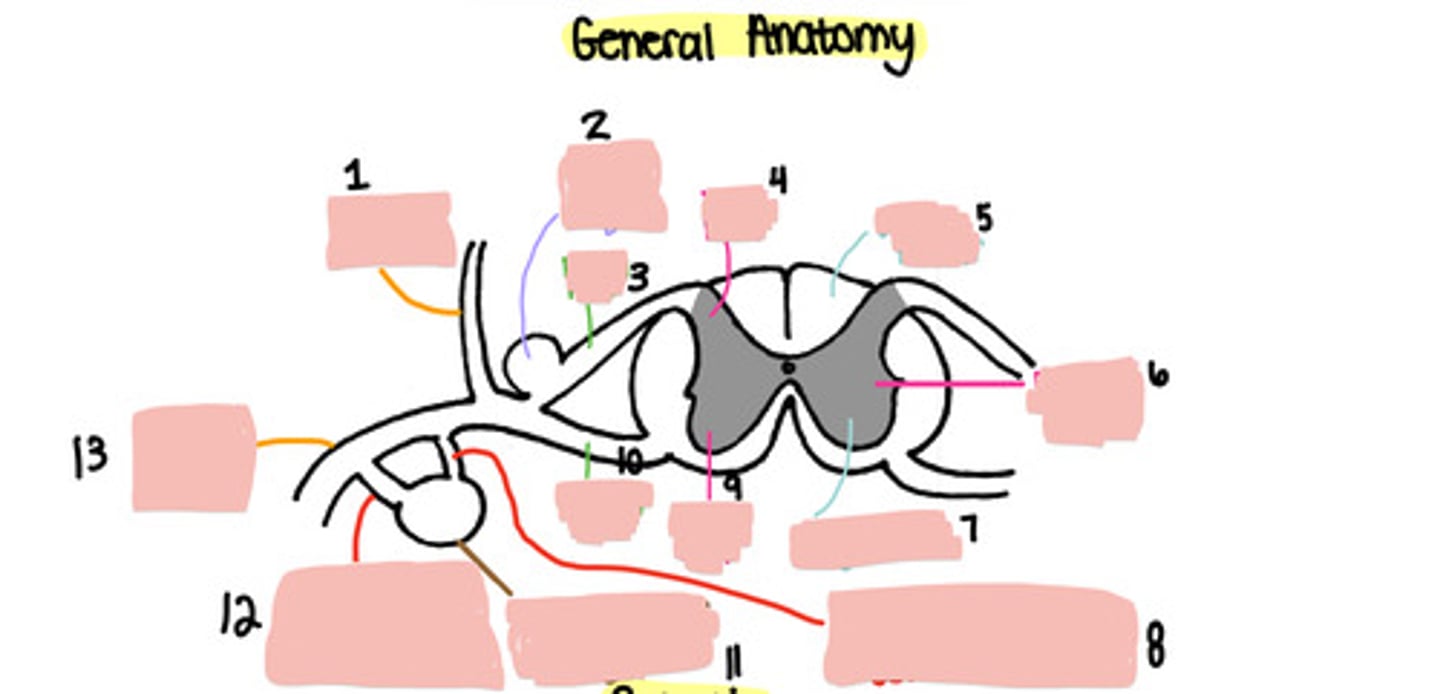 <p>6</p>