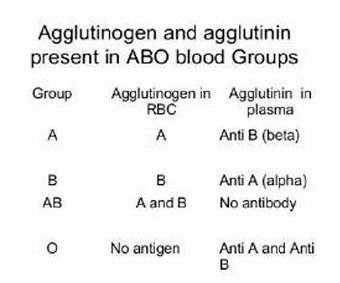 <p>Fundamental principle of blood transfusion: recipient’s plasma does not agglutinate donor’s RBC.</p><ul><li><p>………………………………………………………………………………</p></li></ul><ol><li><p>Determination of the blood types of D (donor) and R (recipient).</p></li><li><p>Direct cross matching: </p><ul><li><p>1st stage: serum of R + blood D → no agglutination</p></li><li><p>2nd stage: serum of D + blood of R → no agglutination</p></li></ul></li><li><p>Biological test: monitoring the occurrence of the following symptoms: chills, headache, shivering, yellowing of the skin, waist pain.</p></li></ol><p></p>