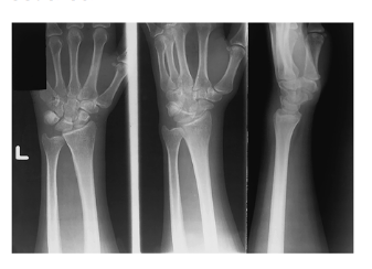 <p><span>Positioning Rules and Principles</span></p>