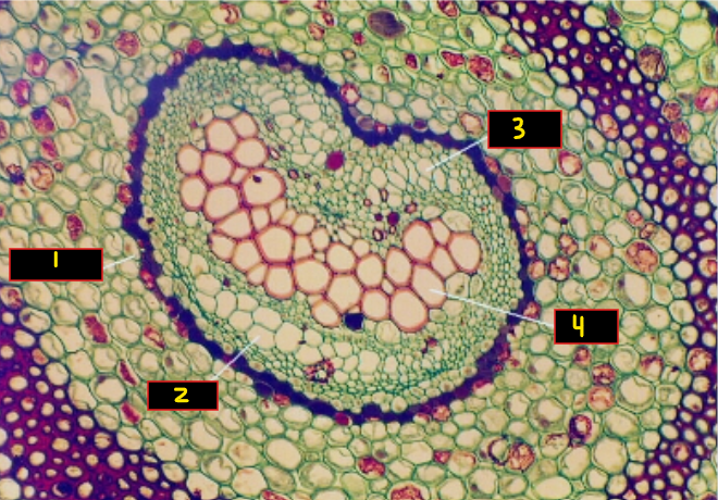<p>What is 4? </p>