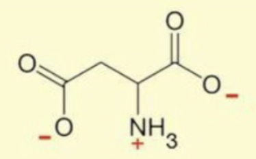 <p>same as asp but with an O<sup>-</sup> instead</p>