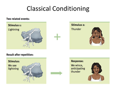 <p><strong>Classical Conditioning</strong></p><ul><li><p><strong>Definition</strong>: The process by which we learn to associate stimuli and consequently associate events with one another. </p></li><li><p><strong>Timing: </strong>The events that we learn to associate happen at the same time.</p></li><li><p><strong>Common Form</strong>: It is a very common form of learning with many applications in everyday life.</p></li></ul><p><strong>Examples</strong>:</p><ul><li><p>Electric fences in farmland.</p></li><li><p>Responses triggered by the smell of food or coffee in the morning.</p></li><li><p>Smartphone notifications.</p></li><li><p>Traffic lights.</p></li></ul><p><strong>Brain Involvement</strong>:</p><ul><li><p>Main areas involved: Cerebellum and prefrontal cortex.</p></li></ul><p></p>